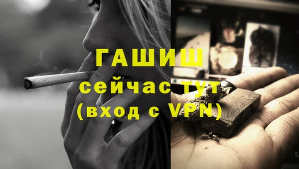 индика Белокуриха