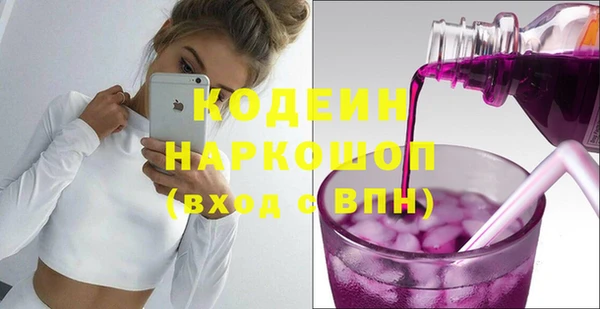 индика Белокуриха