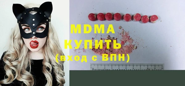 индика Белокуриха