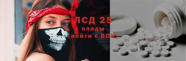 индика Белокуриха