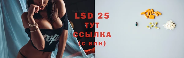 индика Белокуриха