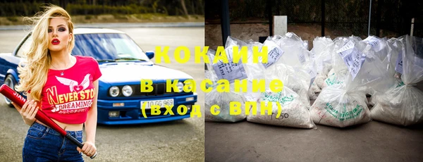 индика Белокуриха