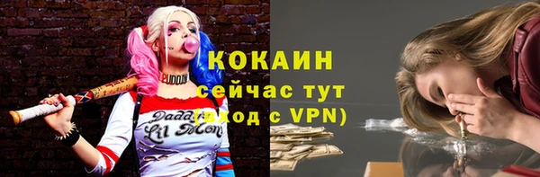 индика Белокуриха